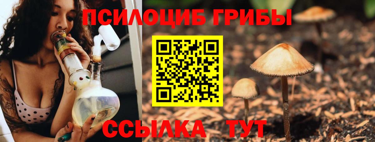 Псилоцибиновые грибы Magic Shrooms  Галлюциногенные грибы мухоморы  Вход с VPN  Курчатов 